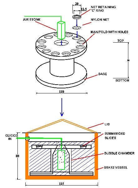 Schematic BSK12 components